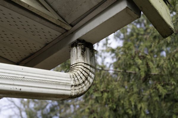 Downspout Cleaning in Marco Island