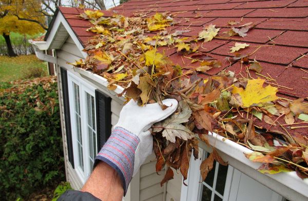 Rain Gutter Cleaning Service in Marco Island
