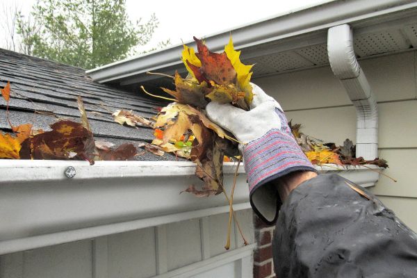 Leaf Gutter Cleaning in Marco Island