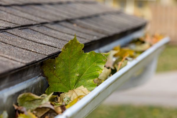 Gutter System Cleaning in Marco Island