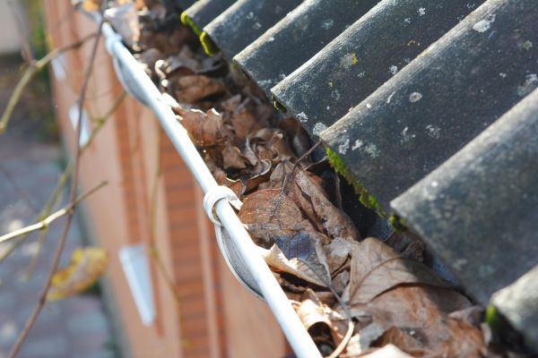 Home Gutter Cleaning in Marco Island