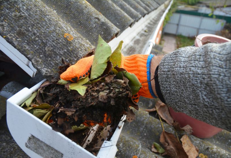 Roof Gutter Debris Removal